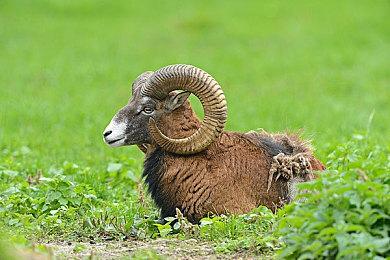 国产SOC《山外山》亮相2025东京电玩展，官方积极收集玩家反馈