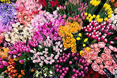 《辐射新维加斯》Mod虚幻5短片 枪械很精美