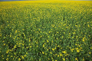 Switch《英雄不再3》发布倒计时预告 主角登场